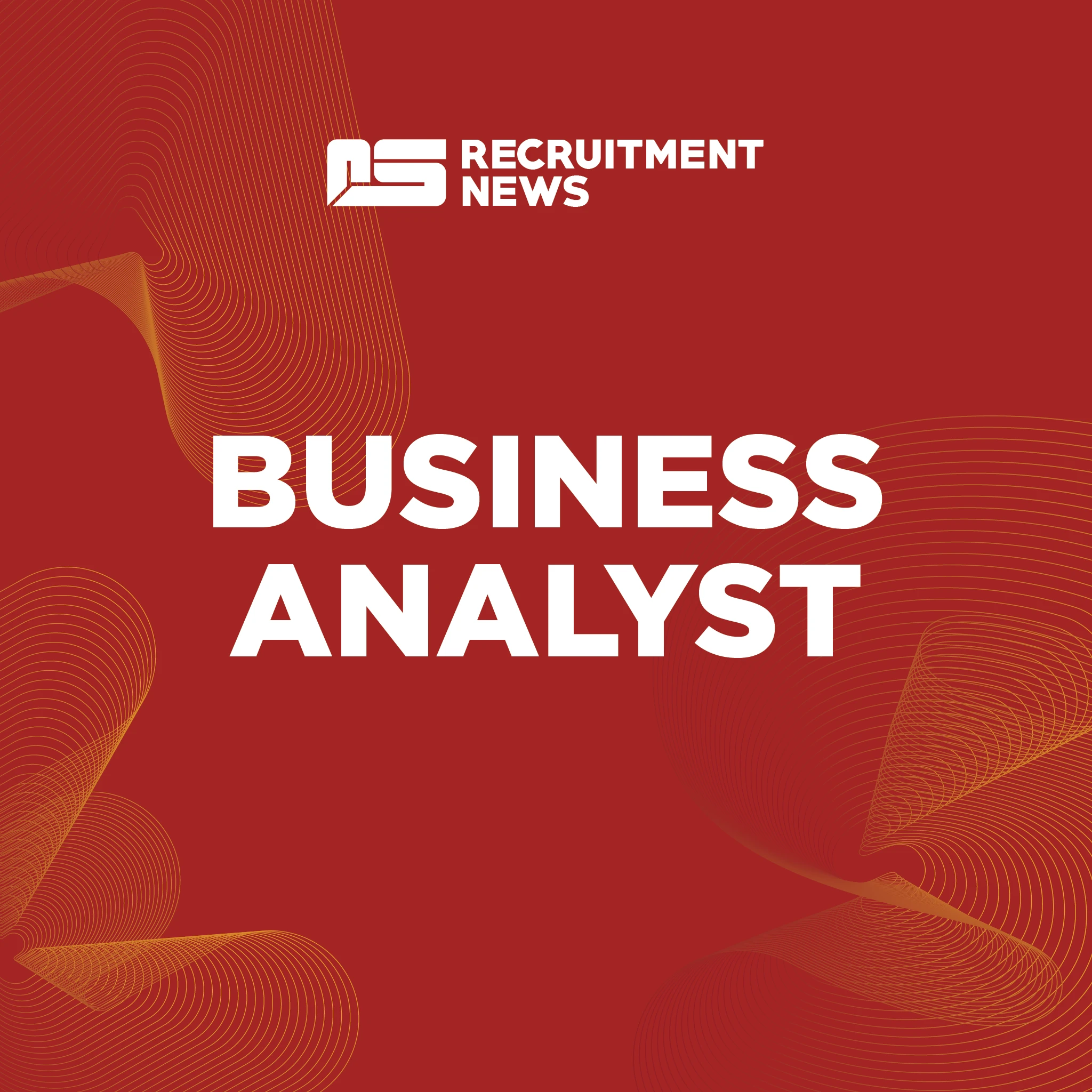 Business Analyst